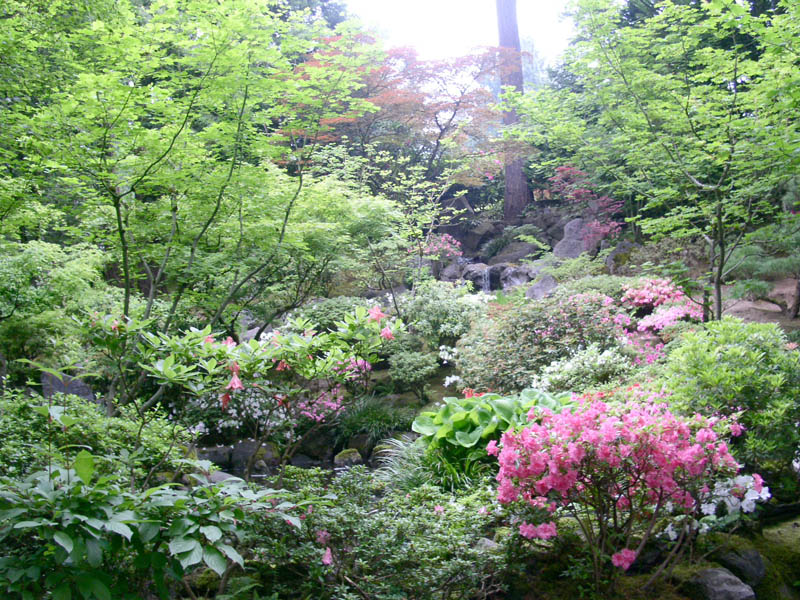 Японский сад #5