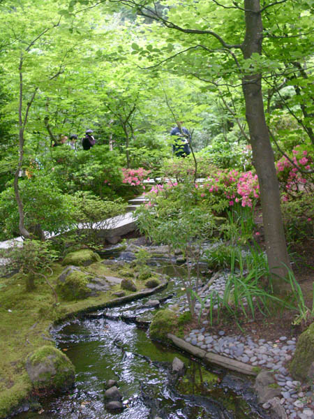 Японский сад #6